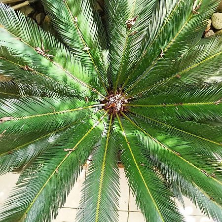 圣吕斯La Belle Martinique别墅 外观 照片