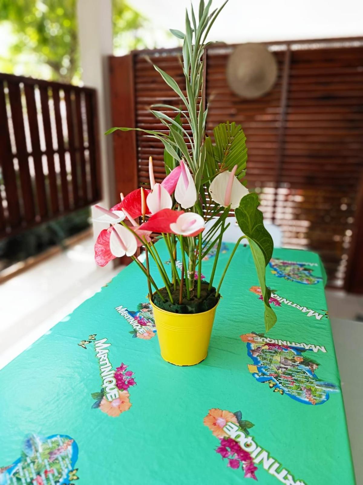 圣吕斯La Belle Martinique别墅 外观 照片