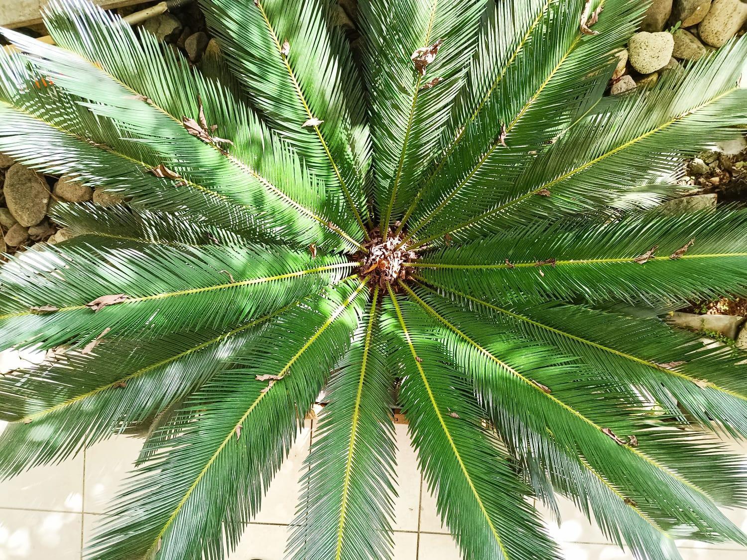圣吕斯La Belle Martinique别墅 外观 照片